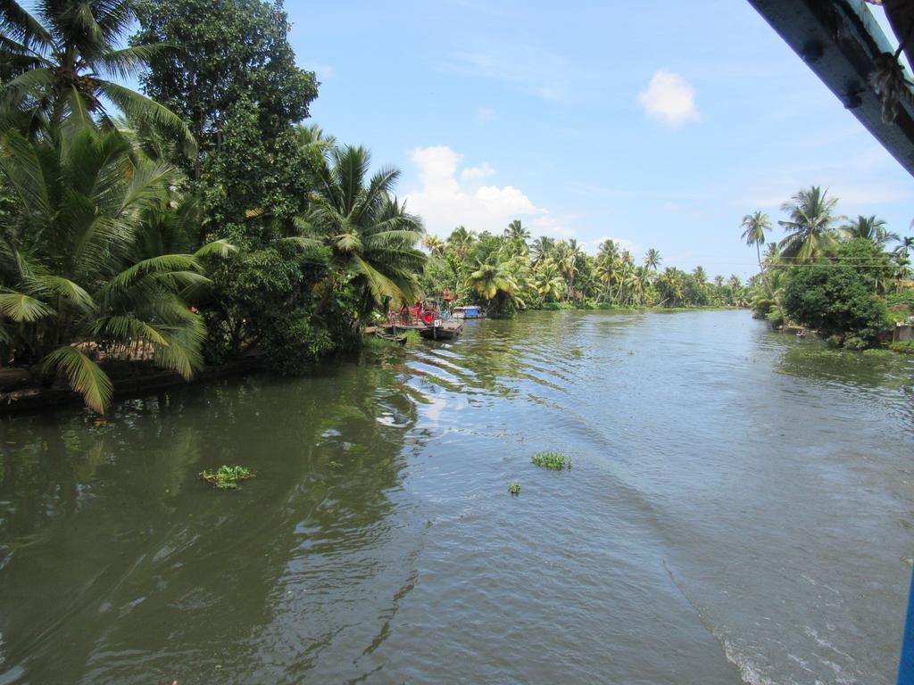 Marari Dreamz Villa Alappuzha Oda fotoğraf