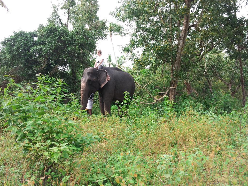 Marari Dreamz Villa Alappuzha Oda fotoğraf