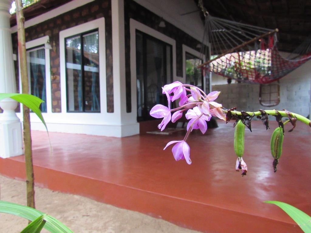 Marari Dreamz Villa Alappuzha Dış mekan fotoğraf